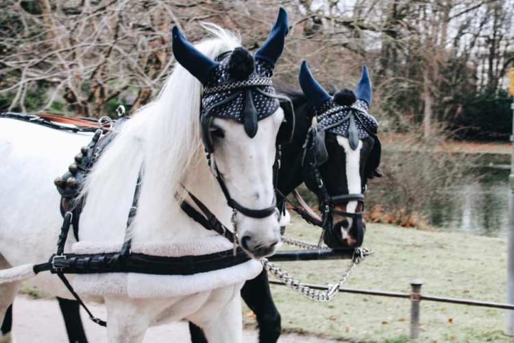 Bavaria Travel Guide 2